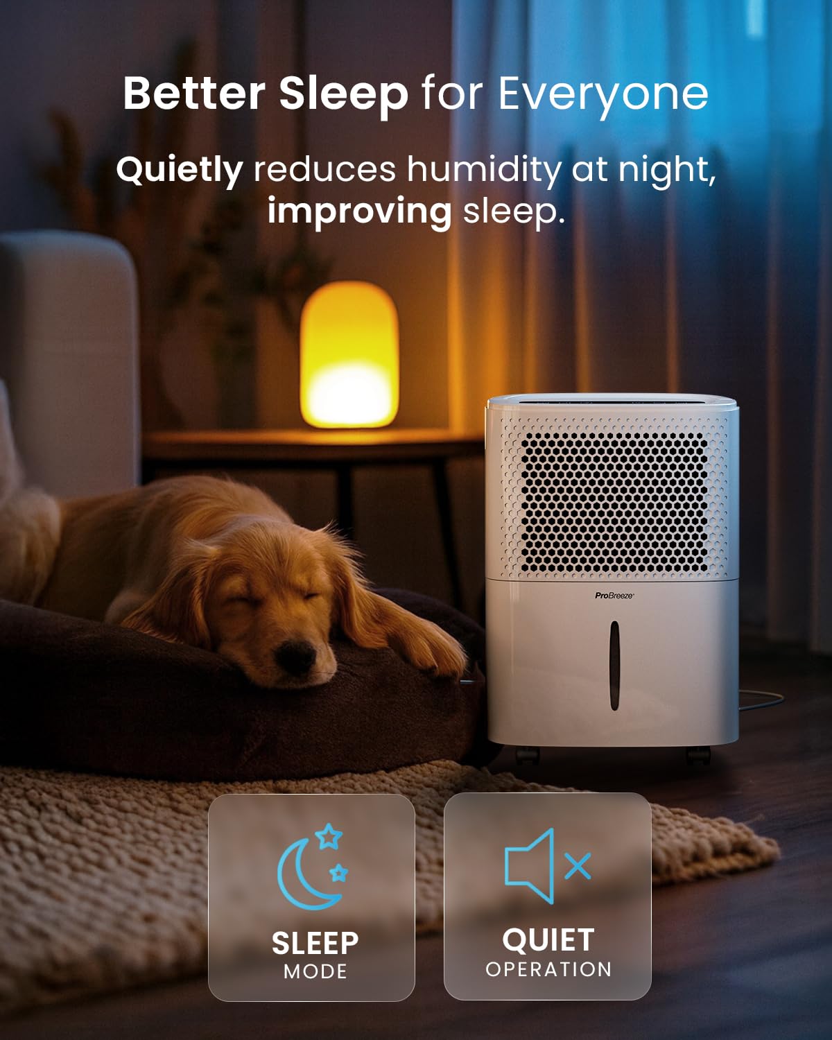 12L Compact Dehumidifier with Humidity Sensor, Sleep Mode & Laundry Drying
